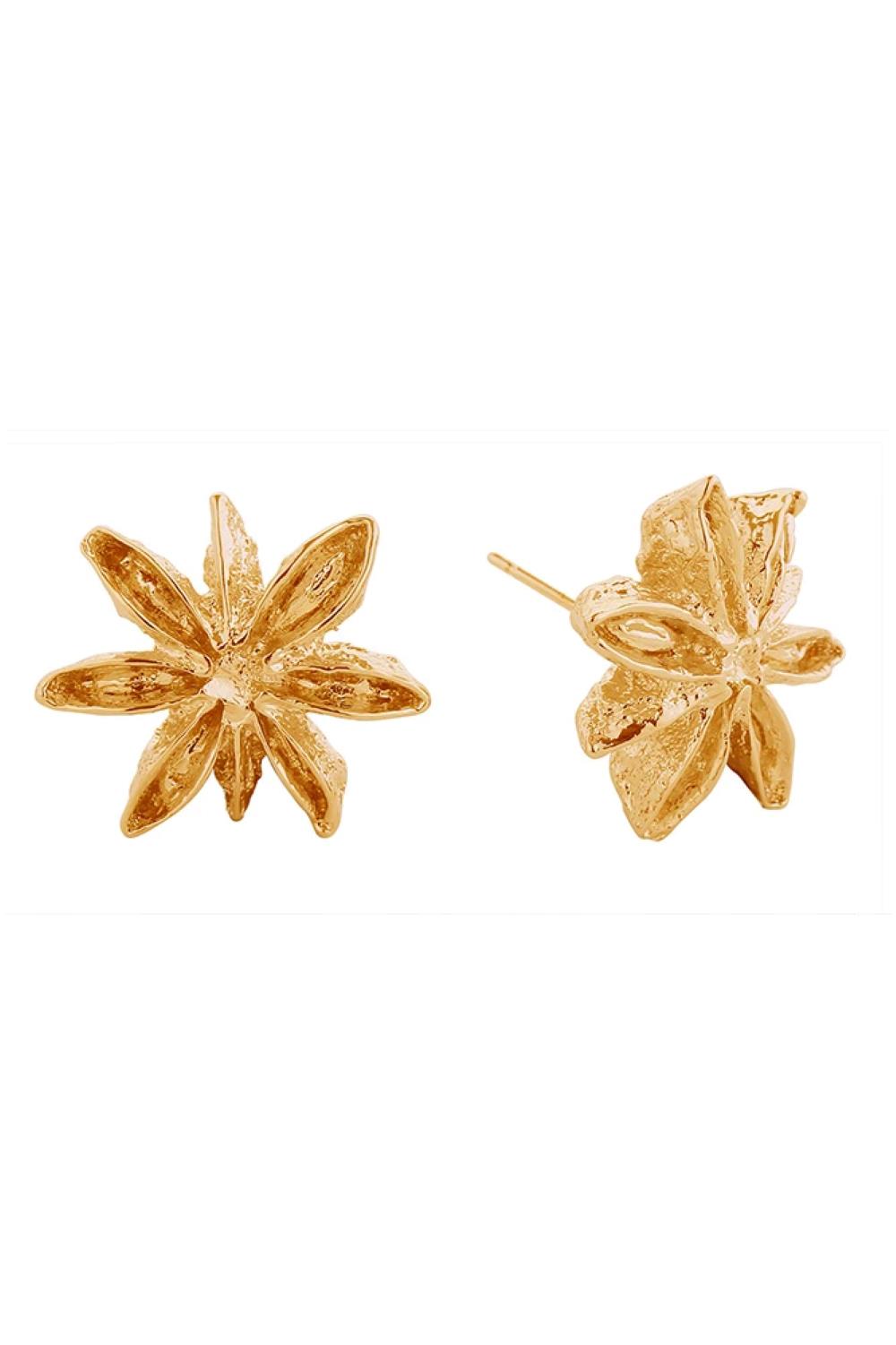 Gold Delicate star anise-shaped post earrings crafted in brass with hypoallergenic properties. Each earring features a 1.9cm diameter design that catches light beautifully. Lead and nickel compliant, making them safe for sensitive skin. Perfect for everyday wear or special occasions a timeless botanical-inspired accessory that adds subtle elegance to any look.