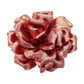Madeline Love Fuchsia Metallic Fabric Flower Pin Brooch Hair Clip Hair Band Bracelet - Bracelets - desc