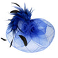 Blue Feather Pearl Cluster Mesh Flower Fascinator Headband, is crafted with luxury materials, including feathers, pearls, and mesh. Its bold design is sure to add a unique and glamorous touch to your ensemble. Perfect for making an exquisite gift, attending any special events, or everyday wear. 