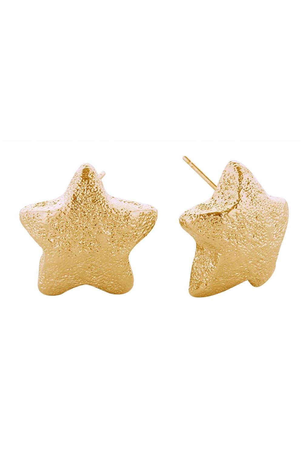 Gold Elevate your everyday look with these charming 14K Glitter Texture Star Post Earrings. Crafted from hypoallergenic brass, they're perfect for sensitive skin and compliant with lead and nickel standards for peace of mind. The delicate glitter texture catches light beautifully, while the classic star design adds a touch of celestial elegance. 