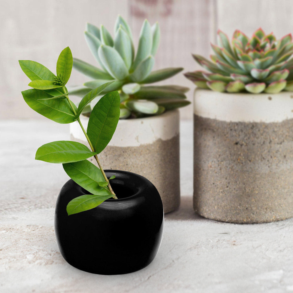 Madeline Love Black Round Shaped Solid Ceramic Toothbrush Holder / Pen Stand - Jewelry