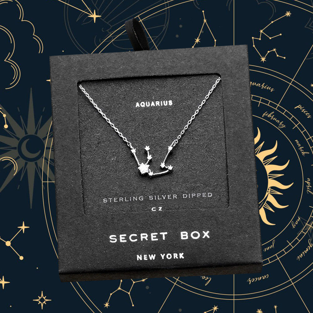 Madeline Love Silver SECRET BOX_Sterling Silver Dipped CZ Aquarius Zodiac Sign Pendant Necklace - Necklaces