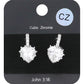 Rhodium CZ Heart Evening Huggie Earrings. Made with stunning CZ stones, these elegant earrings are perfect for any evening occasion. The huggie design ensures a secure and comfortable fit, while the heart shape adds a touch of romance. Upgrade your jewelry collection with these must-have earrings.