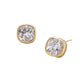 Madeline Love Clear, Gold 14K Gold Dipped Cushion Cut Elegance CZ Stud Earrings - desc