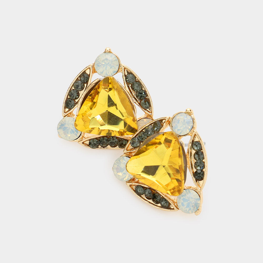 Madeline Love Multi Crystal Rhinestone Trim Evening Stud Earrings