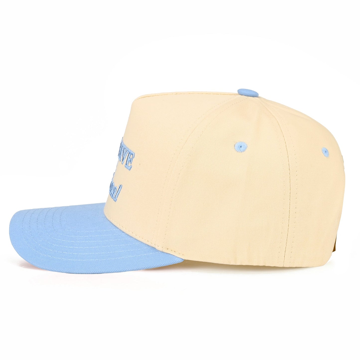 C.C Expensive And Delusional Hat