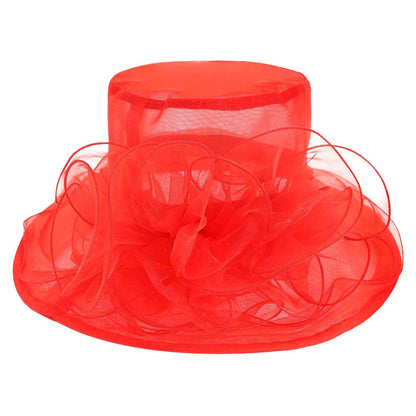 Red Flower Accented Dressy Hat, is an elegant and high-fashion accessory for your modern couture. Unique and elegant hats, family, friends, and guests are guaranteed to be astonished by this flower-dressy hat. The fascinator hat with exquisite workmanship is soft, lightweight, skin-friendly, and very comfortable to wear. The trendy and stunning style adds a touch of ethereal fairytale sparkle to your, which makes you more charming in the crowd. 